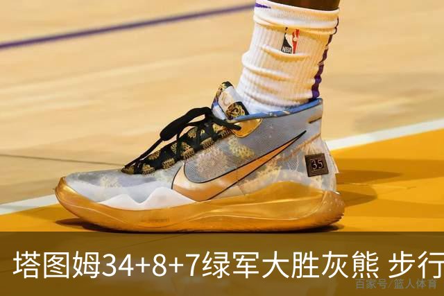塔图姆34+8+7绿军大胜灰熊 步行者送黄蜂7连败